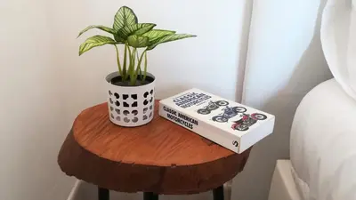 a plant on a table with a book and a plant at Golden Cliff House in Albufeira