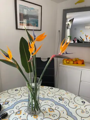 a vase with orange flowers sitting on a table at Albufeira Portugal Maria appt in Albufeira