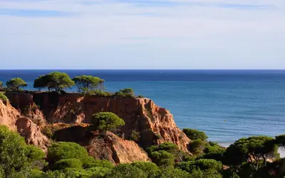 a cliff with trees on it next to the ocean at 3HB Falésia Garden in Albufeira