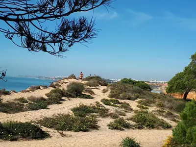 a person standing on top of a hill overlooking the ocean at Apartamento Falesia 6 B in Albufeira