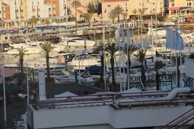 a marina with boats and palm trees and buildings at Marina Vilamoura Apartment in Vilamoura