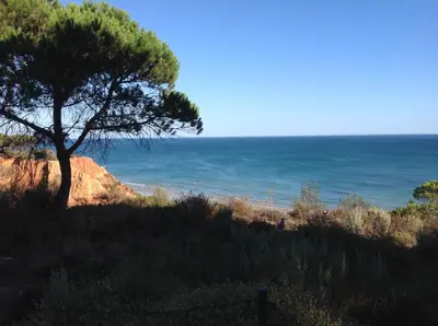 a tree on a hill next to the ocean at Sailing Studio Açoteias in Albufeira