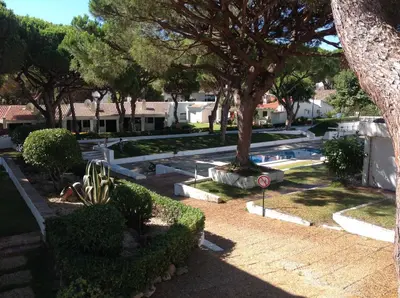 a swimming pool with a tree and some bushes at Sailing Studio Açoteias in Albufeira