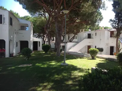 a yard with a tree and some white buildings at Sailing Studio Açoteias in Albufeira