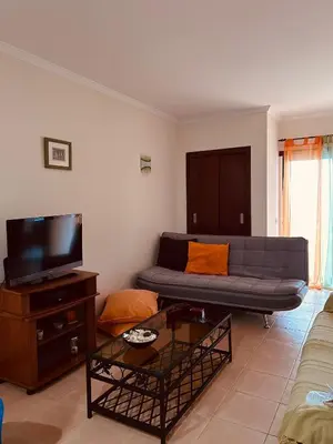 a living room with a couch and a tv at Apartment Salgados T1 in Guia