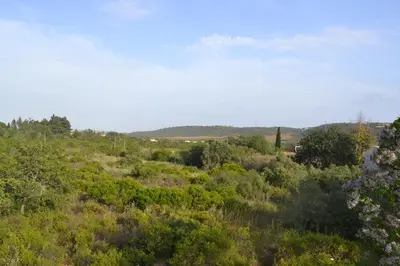 a view of a field with trees and bushes at casa de ferias in Algoz