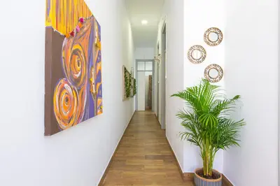 a hallway with a plant and paintings on the walls at Faro Cosy Guesthouse in Faro