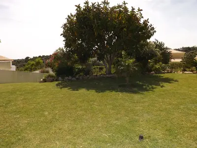 a tree sitting in the middle of a yard at Villa Estrelamar in Boliqueime