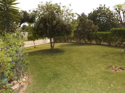 a green yard with a tree in the middle at Villa Estrelamar in Boliqueime