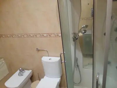 a small bathroom with a toilet and a shower at Albufeira INN - Elimar 5 T1 in Albufeira