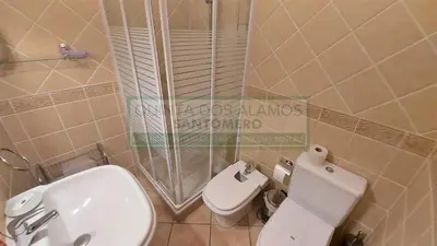 a bathroom with a shower and a toilet and a sink at Apartamento AH in Guia