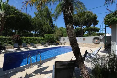a swimming pool with a palm tree next to a house at Villa Bonito 56 - Clever Details in Vilamoura
