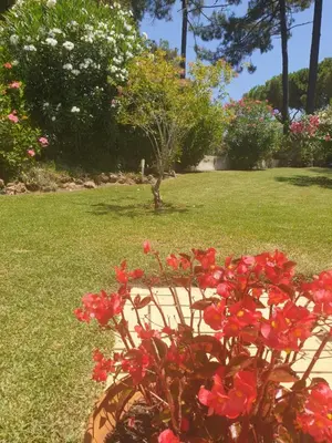a flower pot with red flowers in a yard at The Pinewood Villa in Vilamoura