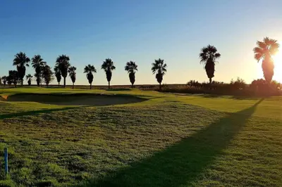 a group of palm trees on a golf course at Albufeira, vista mar (63) in Albufeira