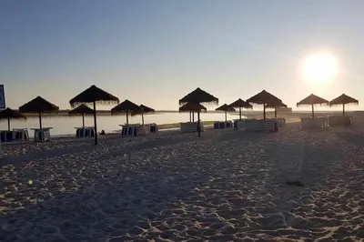 a group of umbrellas and chairs on a beach at Albufeira, Cerro Branco (41) in Albufeira