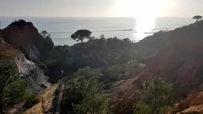 a view of the ocean from a hill with a tree at Albufeira, Sea Balcony (11) in Albufeira