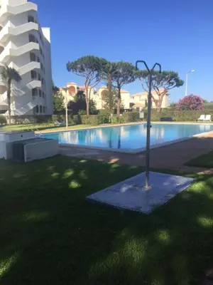 a swimming pool with a tree next to a building at Apartamento 24 SOL in Vilamoura