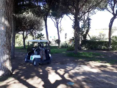 a golf cart parked next to a tree at V2 Aldeia Do Golf- Piscina, Familiar, Aconchegante in Vilamoura