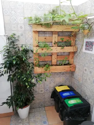 a vertical garden on a wall with two plants at Casa das Andorinhas in Faro