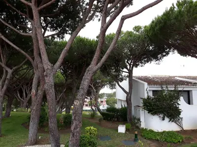 a group of trees in front of a house at Victory Village Club in Quinta do Lago