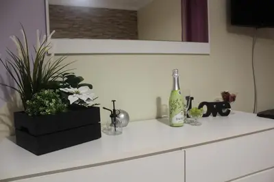 a kitchen counter with a bottle of wine and plants at Apartamento Lara in Albufeira