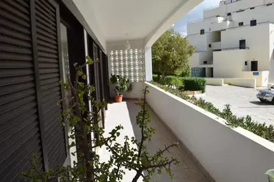 an internal courtyard of a house with plants at Apartamento T2 com Piscina e Wifi a 350 metros da Praia in Roja- Pé