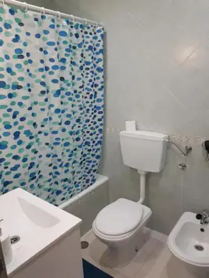 a bathroom with a toilet and a shower curtain at AL - Comfortable House in Faro