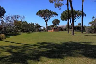 a park with palm trees and a large grass field at Casa da Palmeira, pool & soccer pitch in Vilamoura