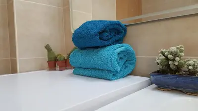 a stack of towels sitting on a shelf next to cactus at Apartamento Cardoso II. A 5 minuto a pé da praia do Peneco in Albufeira