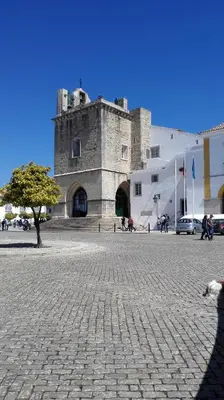 a dog is standing in front of a castle at Residencial Condado in Faro