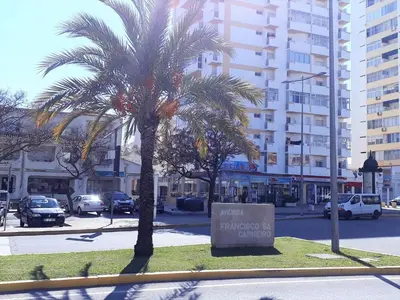 a palm tree in the middle of a city street at Dunas 3- Elegante, 150mt Praia, Wifi in Quarteira