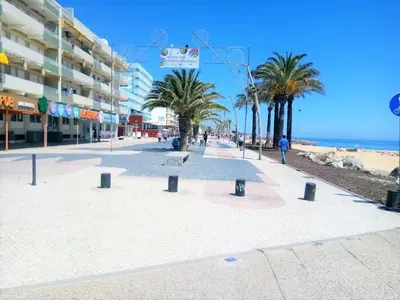 a street with palm trees and a bench on the beach at TORRE 14 Vista Magnifica in Quarteira