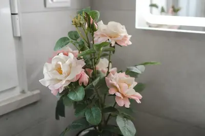 a bouquet of pink flowers in a vase at Exclusive Villa Toulouse with pool in Falesia Algarve in Albufeira