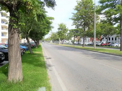 an empty street with trees on the side of the road at Sol europa- Vista Mar, 150mt Praia, Wifi in Quarteira