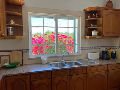 a kitchen with a sink and a window with pink flowers at Guest House Alfarrobeiras in Albufeira