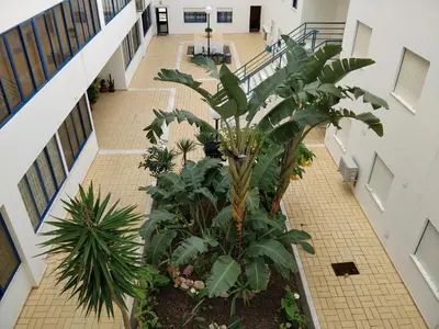 an overhead view of a hallway with plants at Oceanides Beachfront Apartments in Quarteira