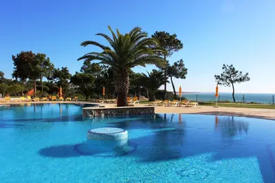 a large swimming pool with a palm tree and the ocean at Alfagar Village in Albufeira