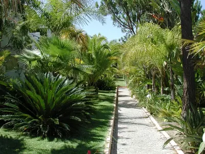a garden with palm trees and a sidewalk at Vale Do Garrao Villas in Vale do Lobo