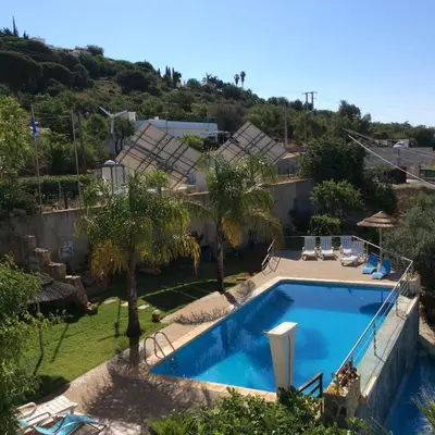 a large swimming pool in a yard with palm trees at Golda Sol in Loulé