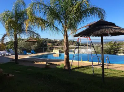 a pool with a swing and a palm tree at Golda Sol in Loulé
