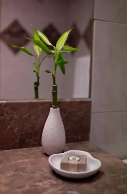 a white vase with a plant in it on a table at Hospedaria Frangaria in Faro