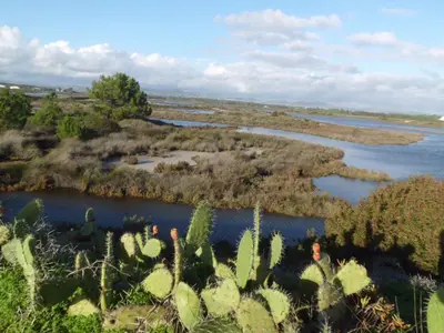 an aerial view of a river with cactus at Victory Village 2A in Quinta do Lago