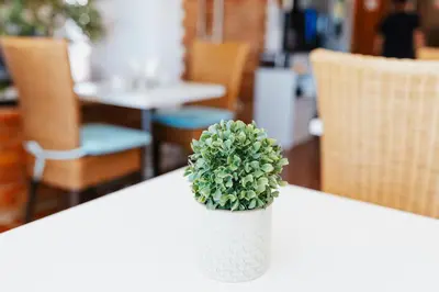 a white vase with a green plant sitting on a table at Vila Channa - Adults Only in Albufeira