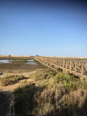 a wooden bridge over a river in the desert at Victory Village Club 9F in Quinta do Lago