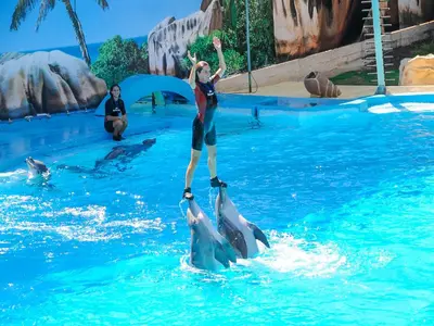 a woman standing on two dolphins in the water at V3, Villa Belo Horizonte near Beach, Albufeira in Albufeira