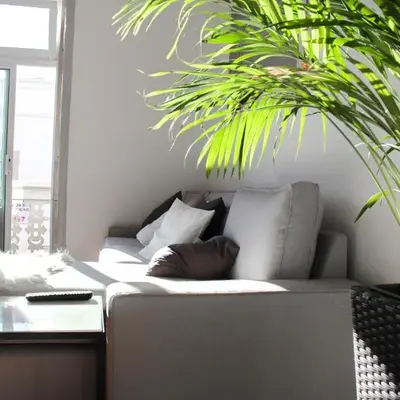 Atelier 3 - Boutique Rooms