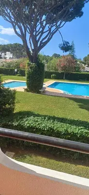 a bench next to a swimming pool with a tree at Apartamento Solar dos Pinheiros in Vilamoura
