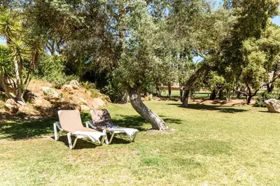 two chairs sitting under a tree in the grass at Browns Sports Resort in Vilamoura