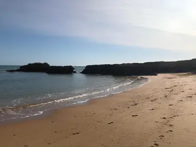 a sandy beach with rocks in the water at magnifique appartement sur la plage ... in Albufeira