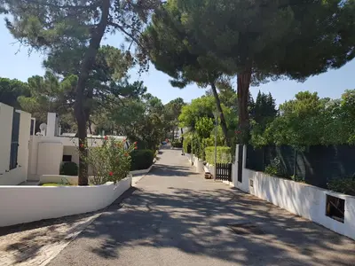 a sidewalk with a fence and trees on a street at Villa Alexia - By Algarkasa in Albufeira